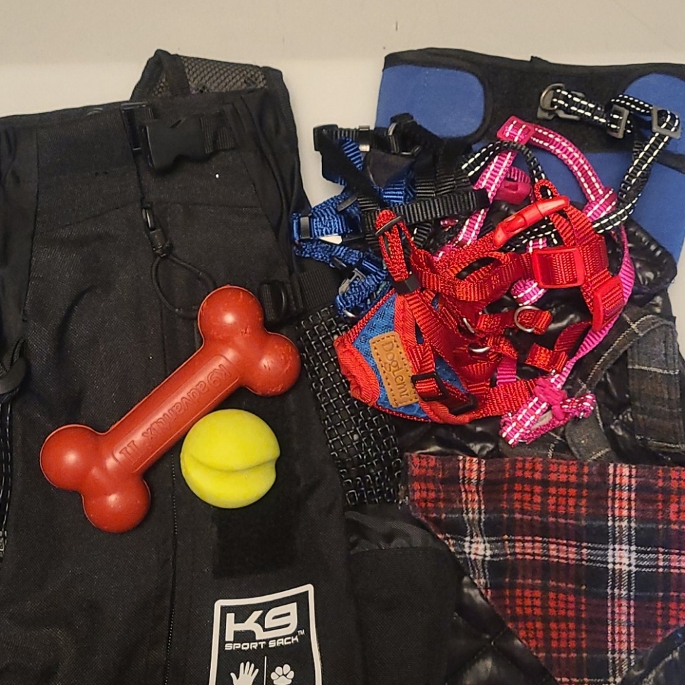 Dog accessories